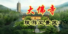 小骚逼视频国产2008中国浙江-新昌大佛寺旅游风景区